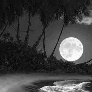 Meet your Posher, Marie-Ève